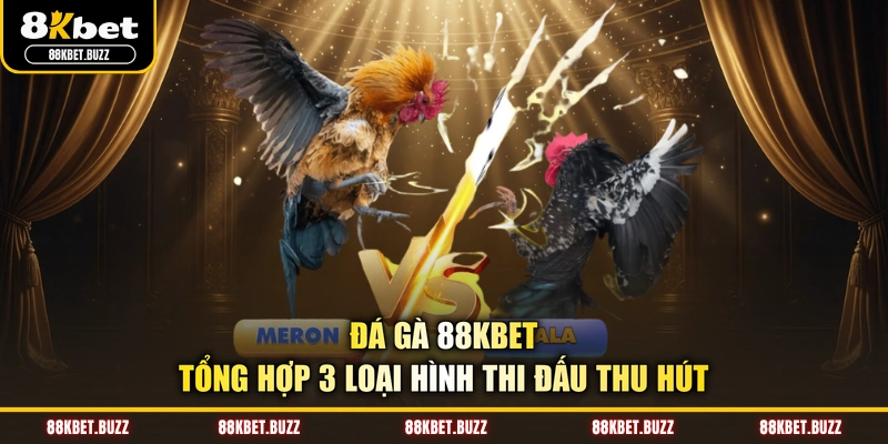 Đá Gà 88KBET - Tổng Hợp 3 Loại Hình Thi Đấu Thu Hút